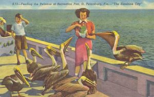 pelicanpier